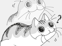 時計の裏が気になって仕方がないネコ。壁掛けフックの正体を知りたそうにしているけれど