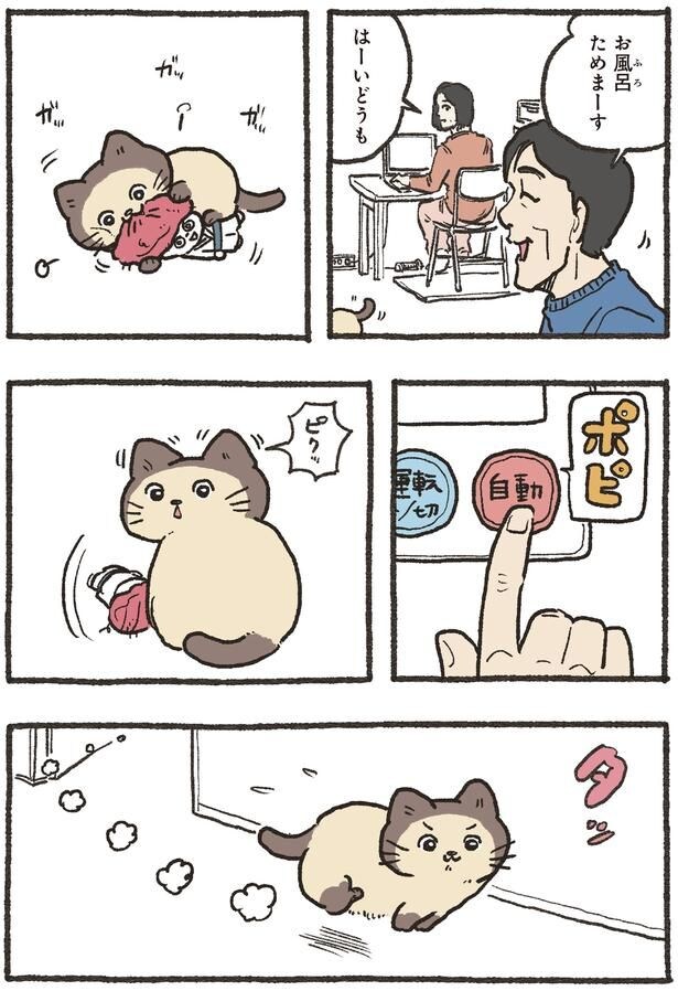 お風呂ためまーす