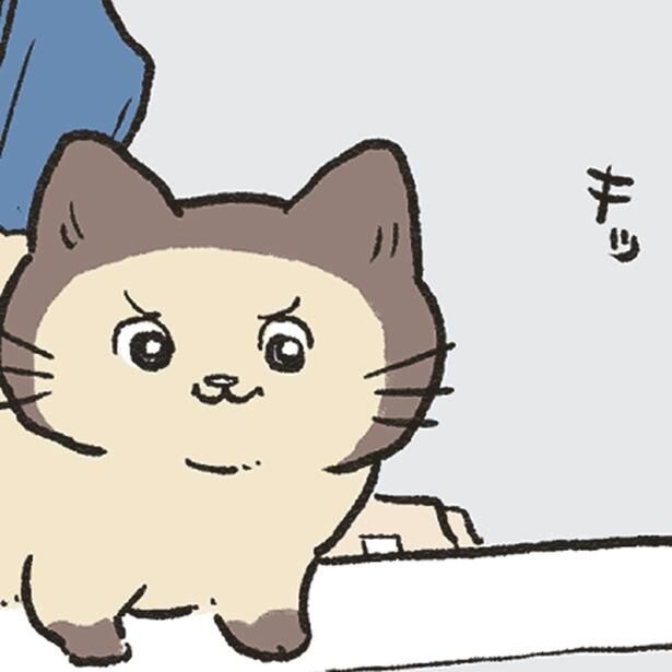 お風呂のお湯張りタイム。猫さんと飼い主、それぞれが見張っているのは!?