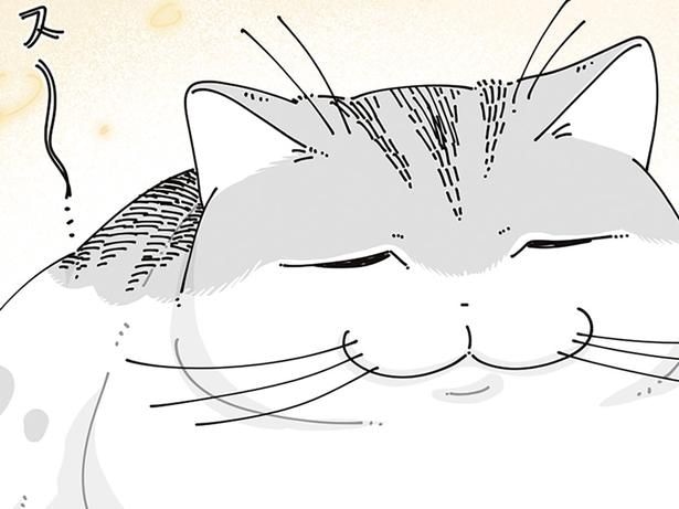 新しいおもちゃを発見。「ねえ、遊ぼう」誘おうとした飼い主の視線の先には眠るネコが