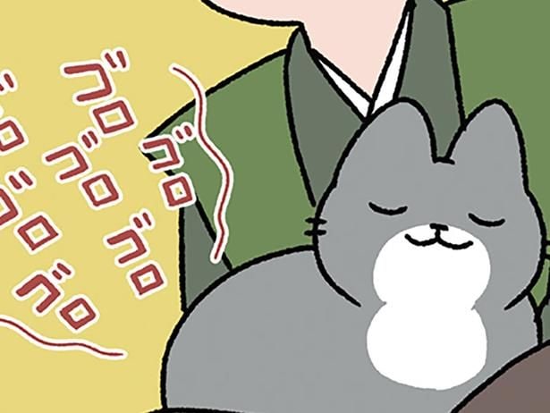 選ぶとしたら…