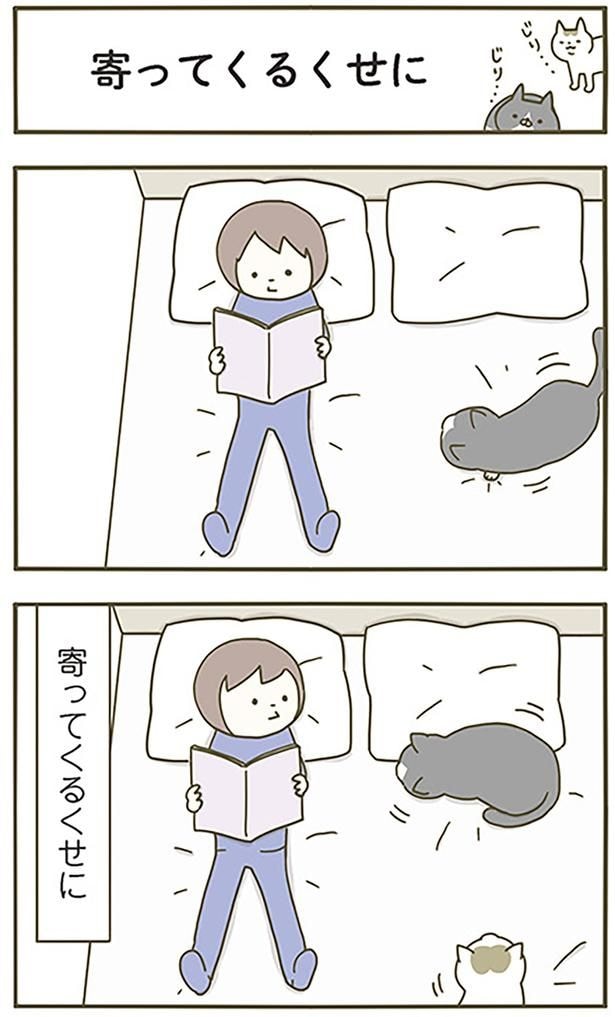 寄ってくるくせに