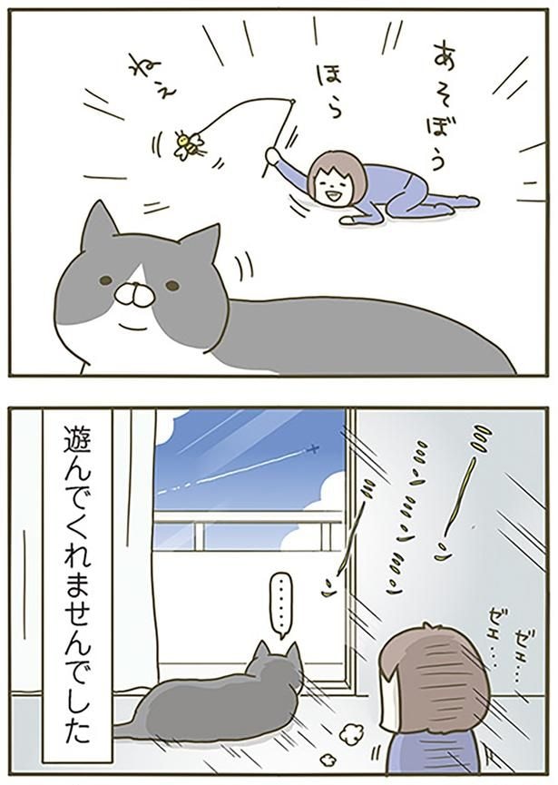 遊んでくれませんでした