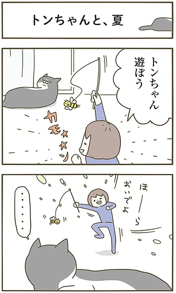 トンちゃんと、夏