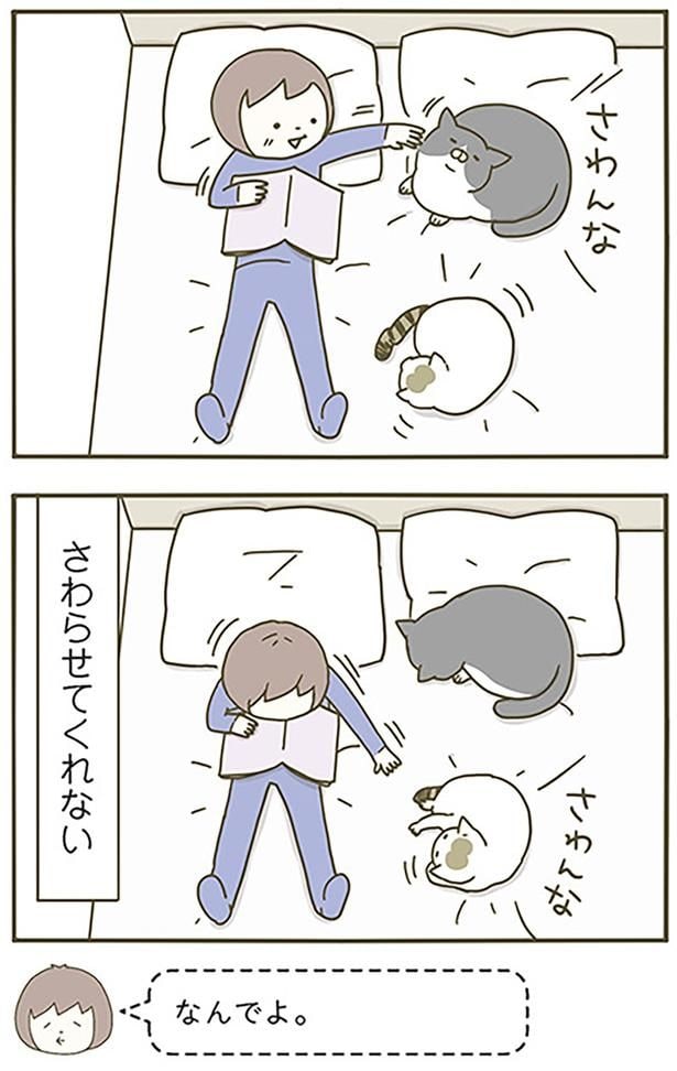 さわらせてくれない