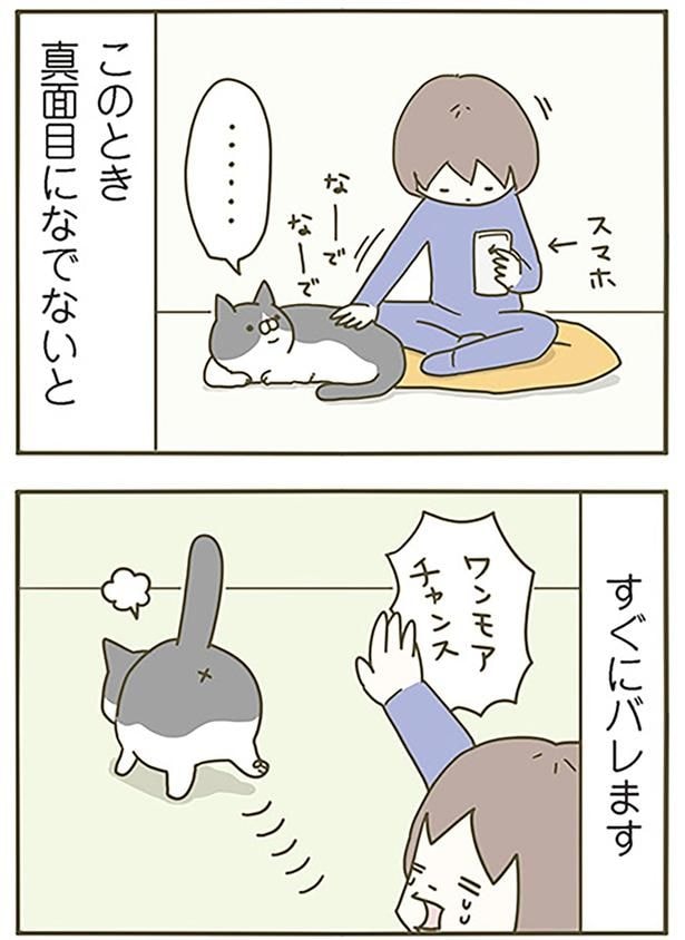 真面目になでないと