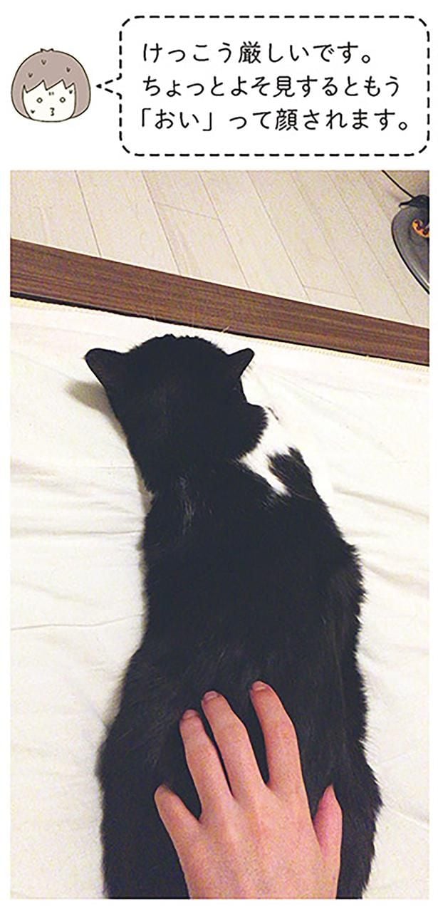 結構厳しいです