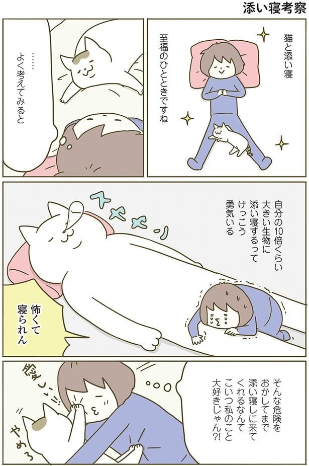 添い寝考察