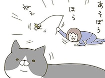 遊ぼう！ ほら！ ねえ！ ある夏の日、テンション高めに猫にかまったときのこと