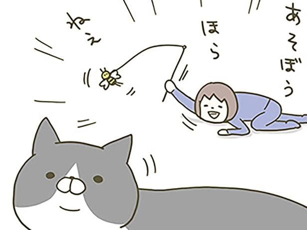 遊ぼう! ほら! ねえ! ある夏の日、テンション高めに猫にかまったときのこと