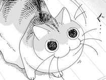 「ちょっと待って」ゴチャゴチャしている机の上に飛び乗ろうとするネコ