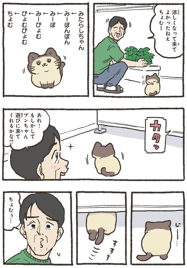 遊びに来てくれるかな！？