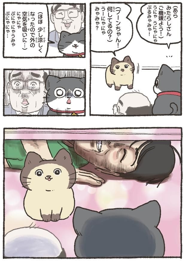 ご機嫌よう！
