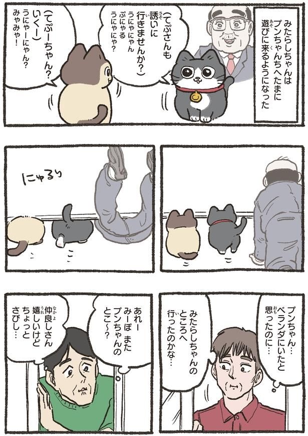 たまに遊びに来るようになった