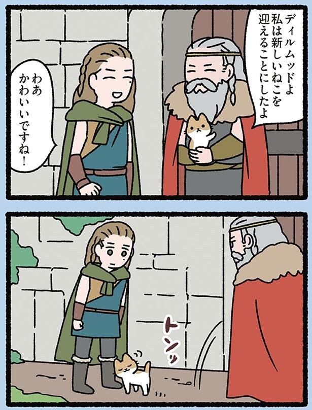 新しいねこを迎えたが
