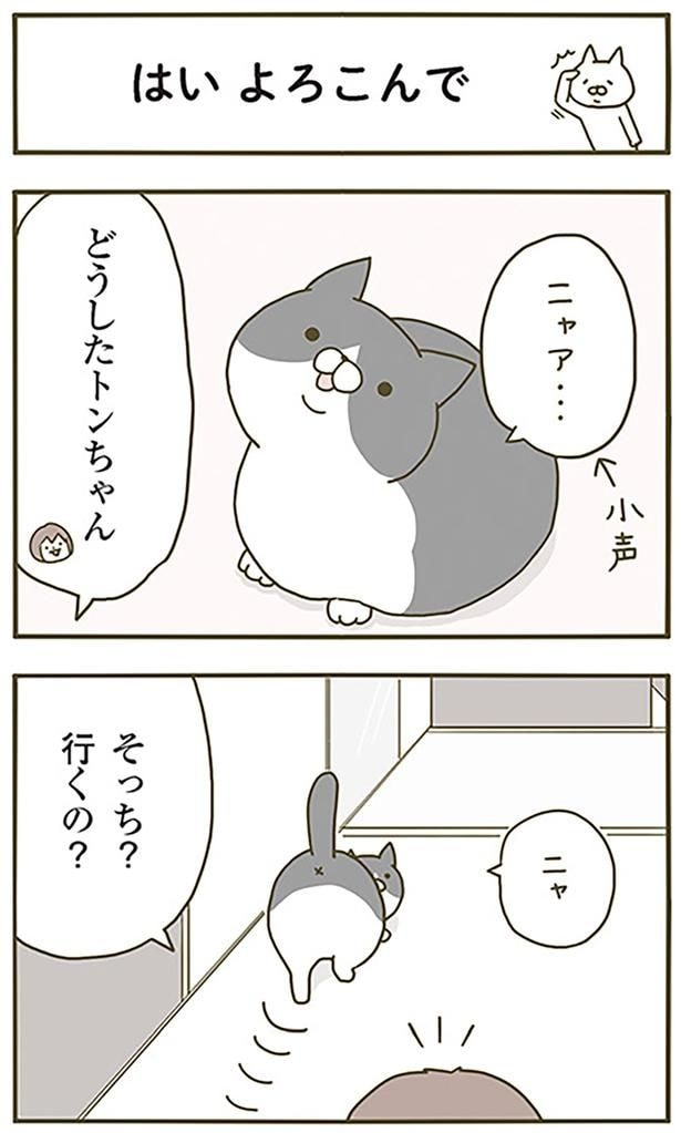 はいよろこんで