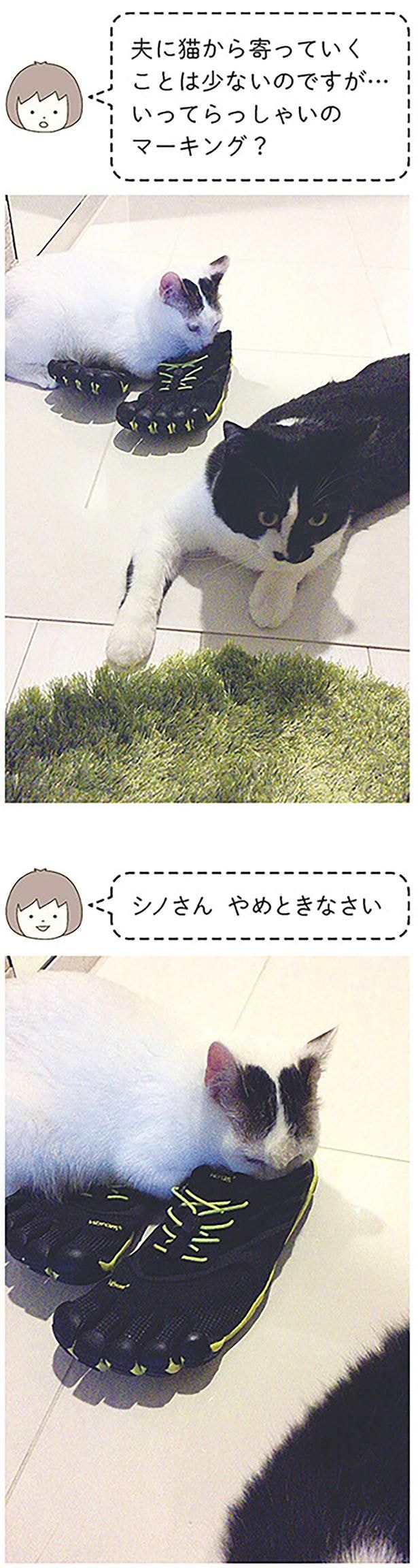 やめときなさい