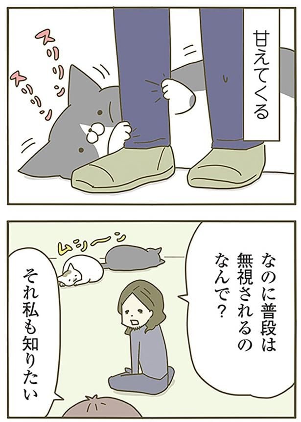 甘えてくる