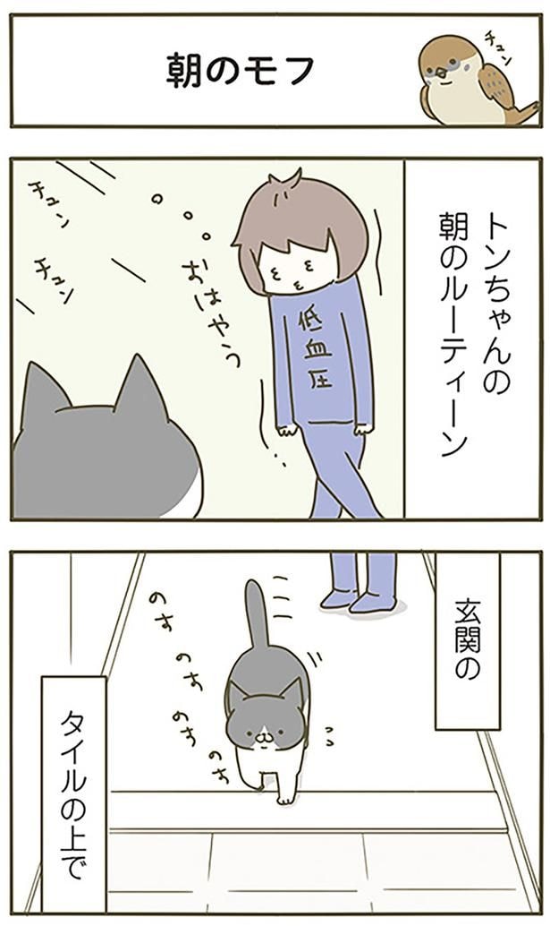 朝のモフ