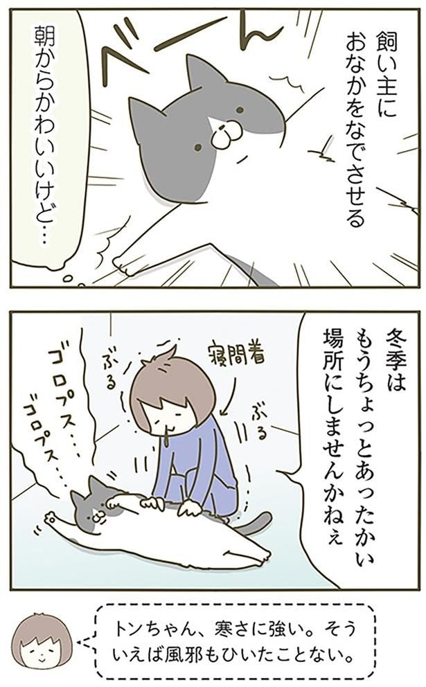 おなかをなでさせる