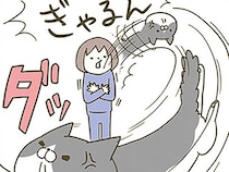 超理不尽！ 目薬や爪切り、猫が嫌がることを担当しているせいで起こった出来事