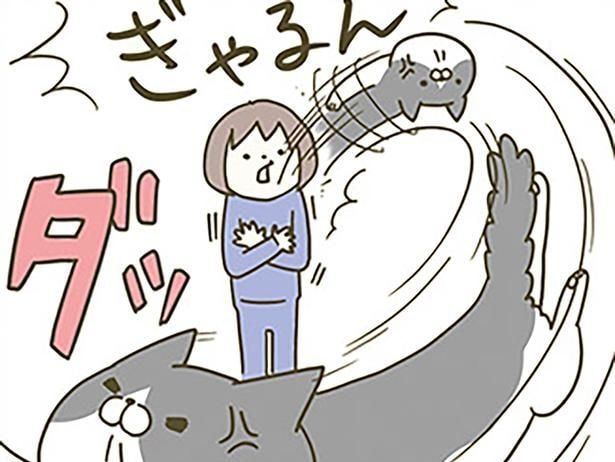 超理不尽！ 目薬や爪切り、猫が嫌がることを担当しているせいで起こった出来事