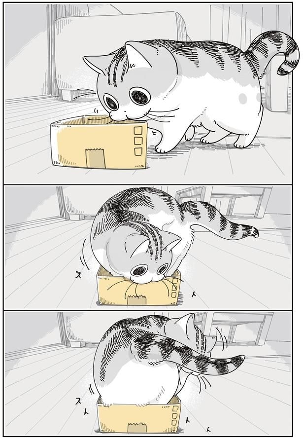 箱に入ろうと