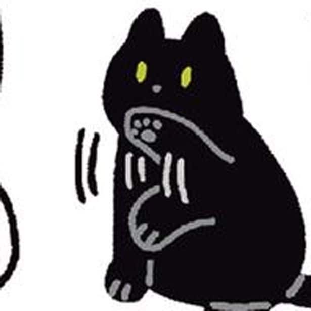 飼い主にお手をレクチャー？そっと前足を上げる黒猫ろんがかわいい