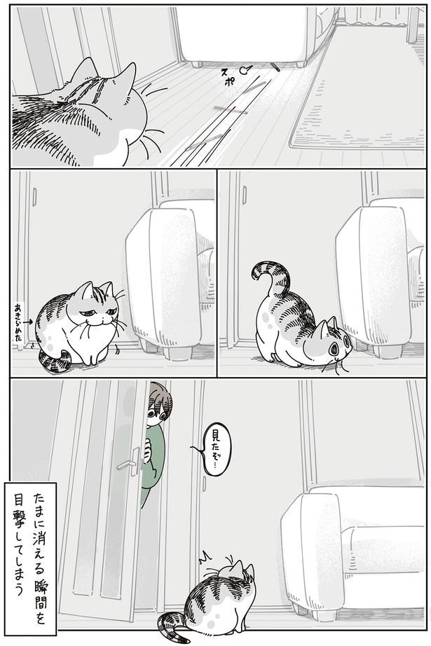 見たぞ…
