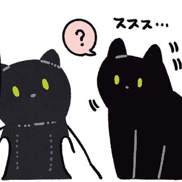 気になる反応は…?黒猫ろんが自分そっくりのBIGぬいぐるみと対面