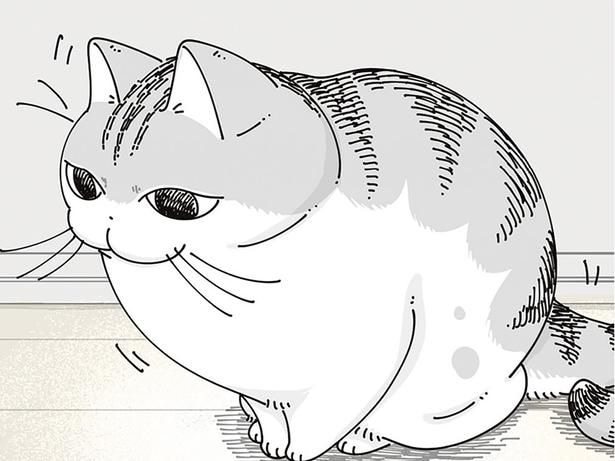 足元に走ってきて「ピタッ」!