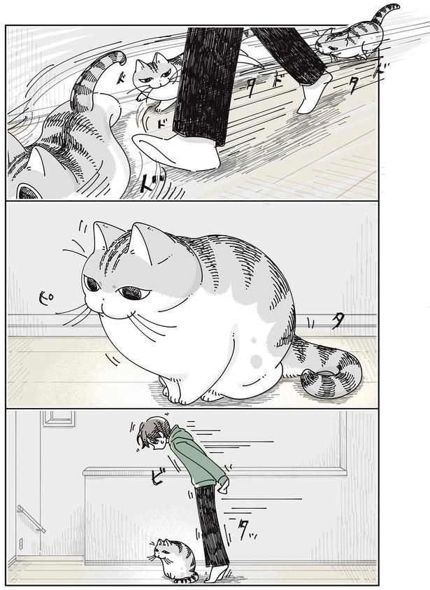 ピタッ