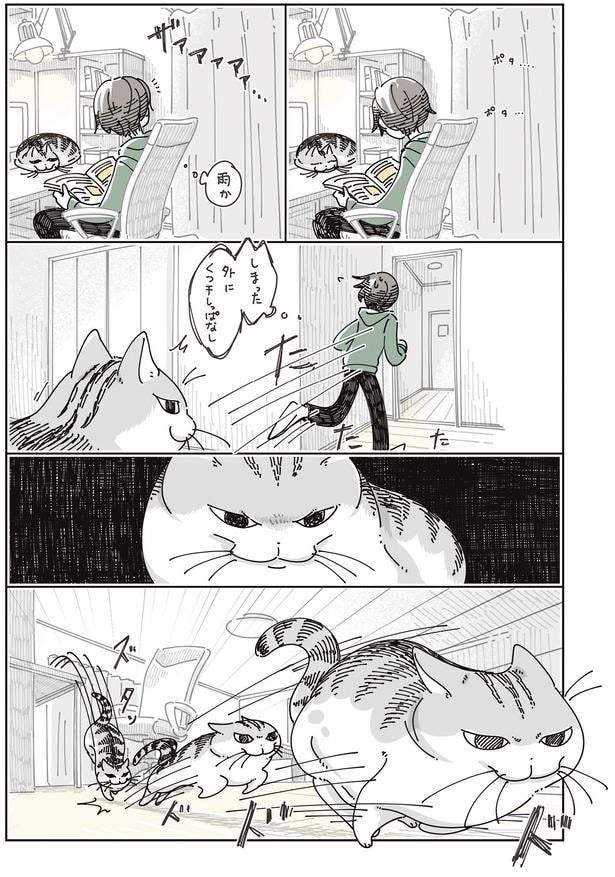 雨か…