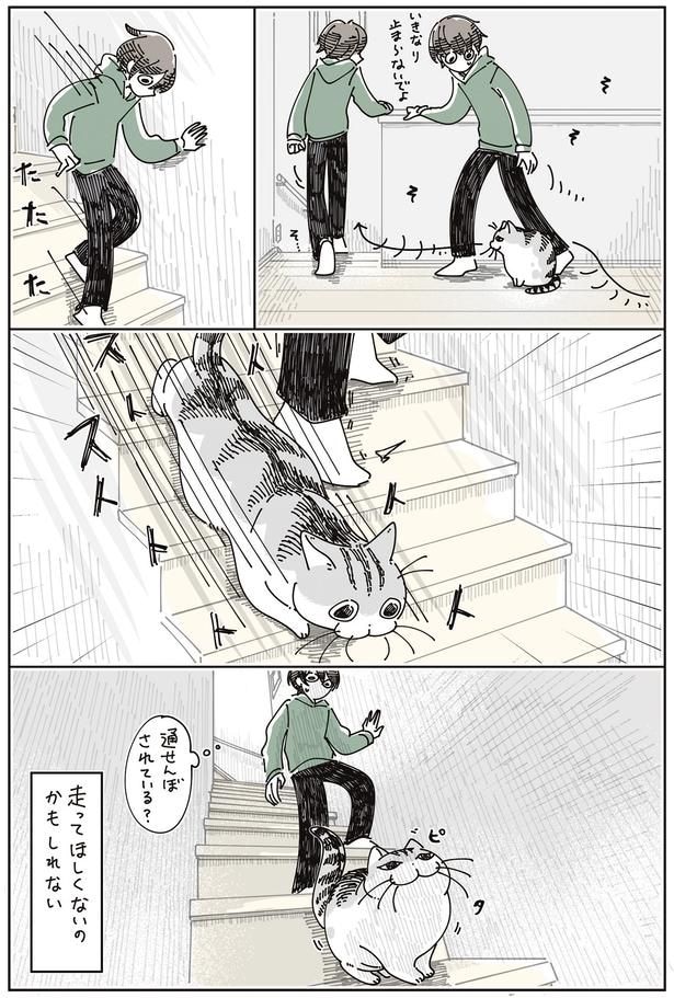 通せんぼされている?