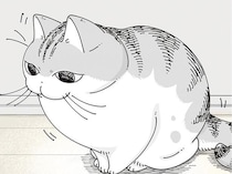いきなり止まらないでよ！ 走る飼い主の足元でビタ止まりするネコ
