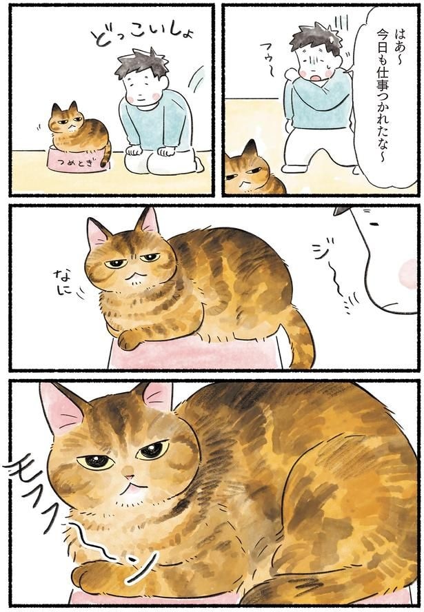 今日も仕事つかれたな~