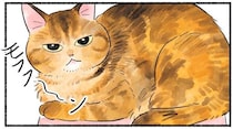 仕事で疲れて帰ってきたときに。癒される「もふもふ」の誘惑