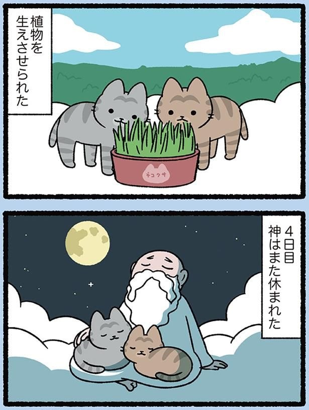 ねこ、ねこ、休息