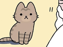 【天地創造なねこ】「ねこあれ」1日目からねこと共にある神様。天地創造のお話