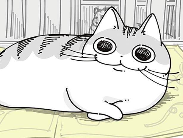 陣取る猫