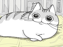 邪魔だけどどけるほどでもないな。チラシの上を陣取るネコと気にしない飼い主
