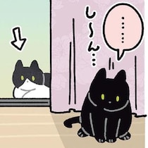 大好きなノラネコが赤ちゃんを連れてきた！黒猫ろんが見せた優しい反応