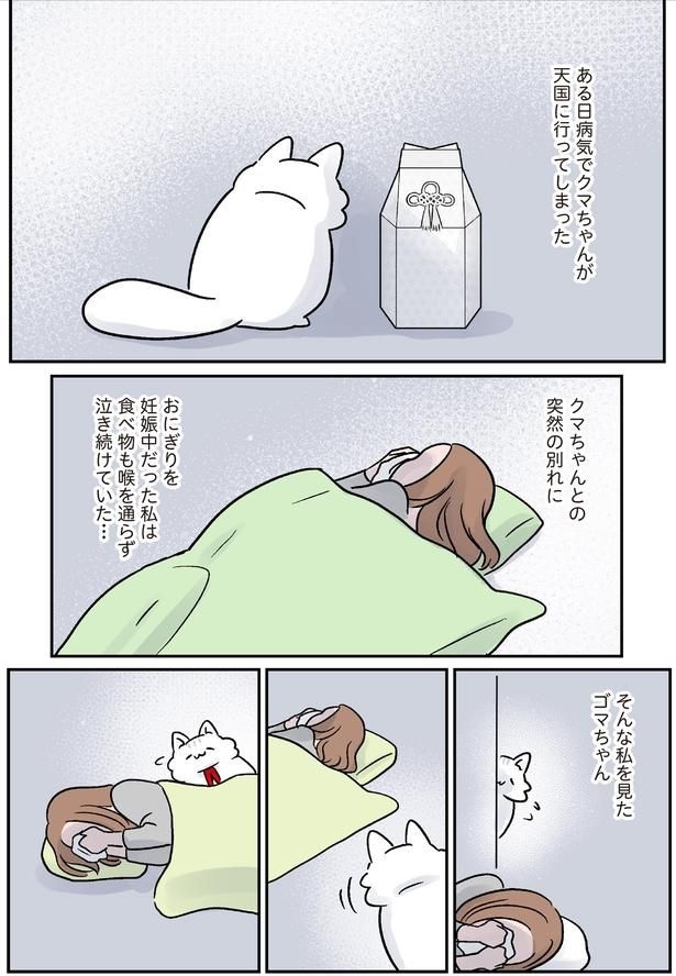 食べ物も喉を通らず泣き続けていた…