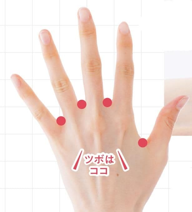 老廃物の排出を促し、水分の巡りを整えることが期待されるツボ「八邪」