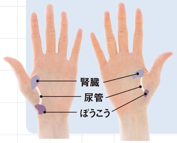 血液やリンパの巡りも整い、冷えにくい体へ