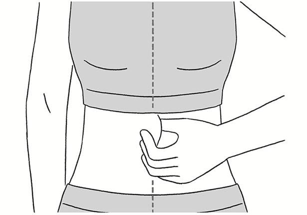 お腹の「正中線」をつまむ