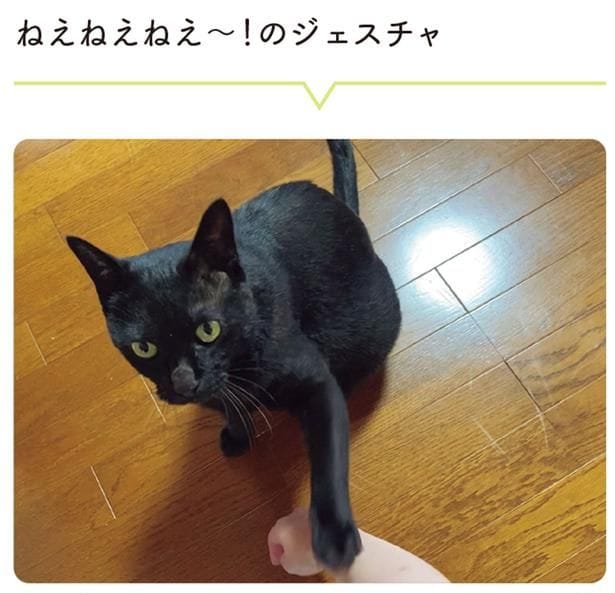 ねえねえねえ～！のジェスチャ