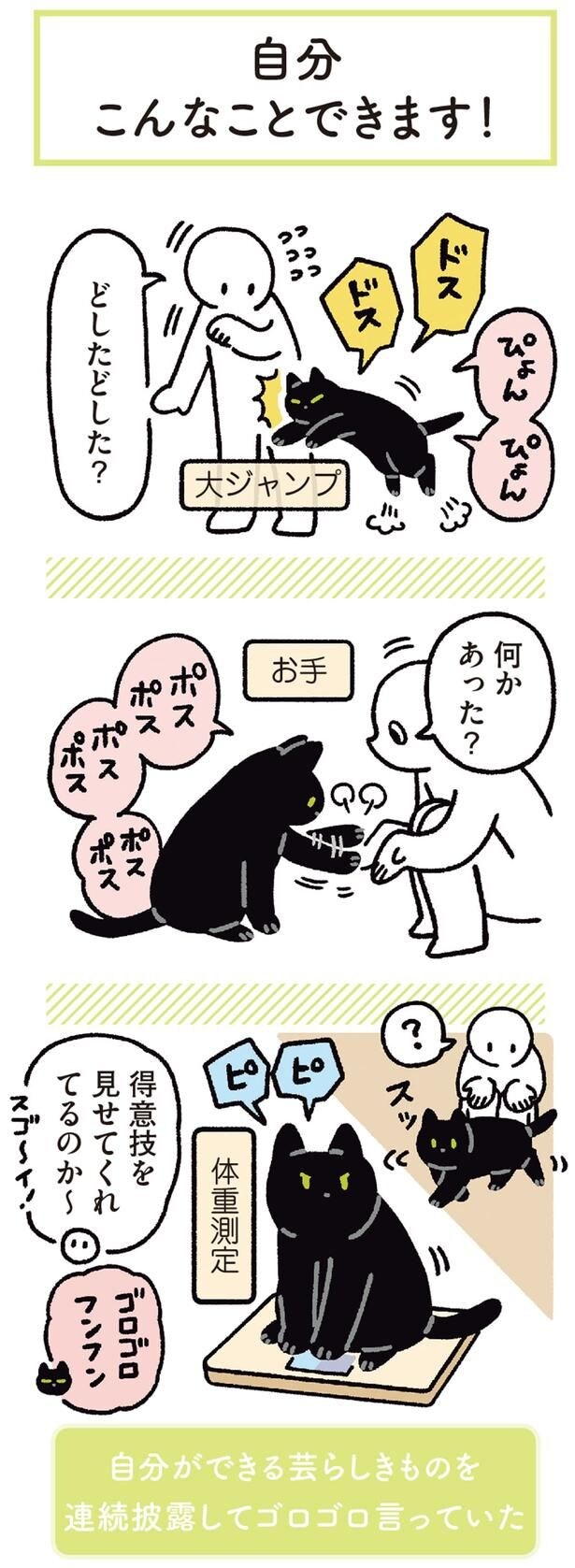 得意技を見せてくれてるのか～