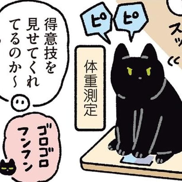 大ジャンプにお手、体重測定まで！得意技を次々披露する黒猫ろん
