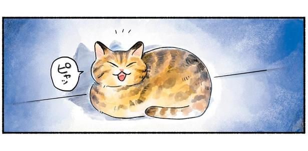 ピャッ